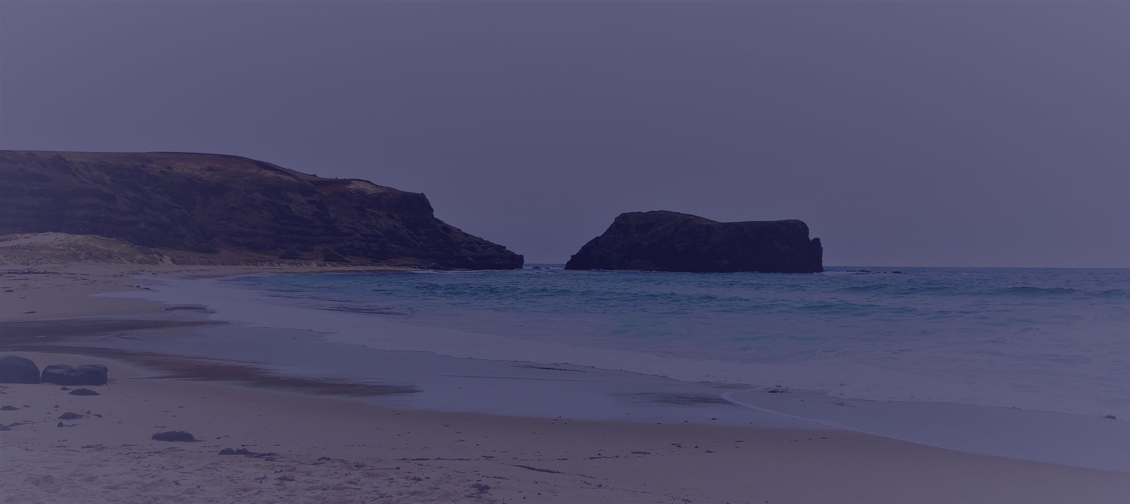 morngton peninsula beach wine tours