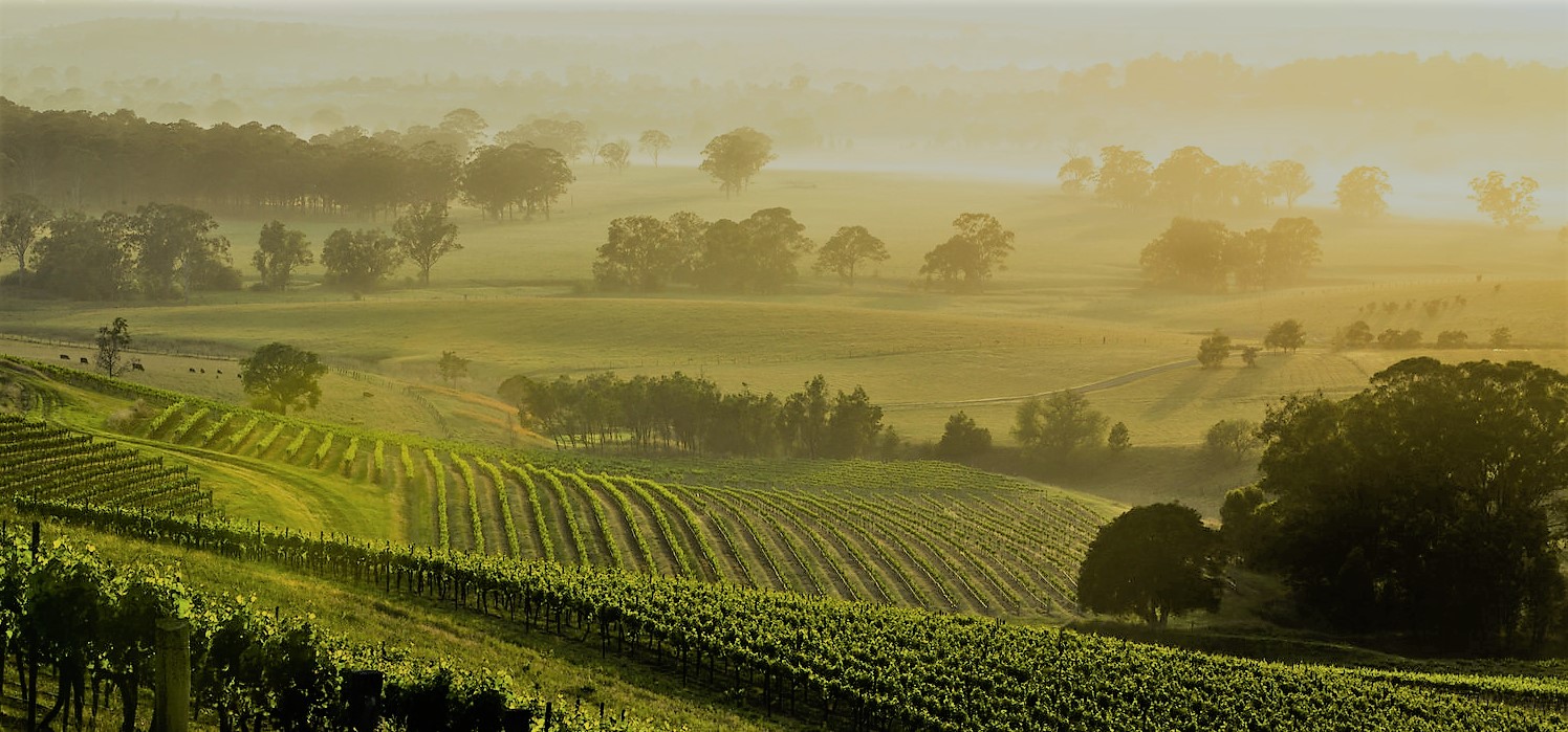 Few of the Best Wineries in the Yarra Valley Region