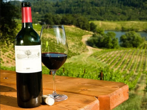 Mornington Peninsula Wine Tasting Tours